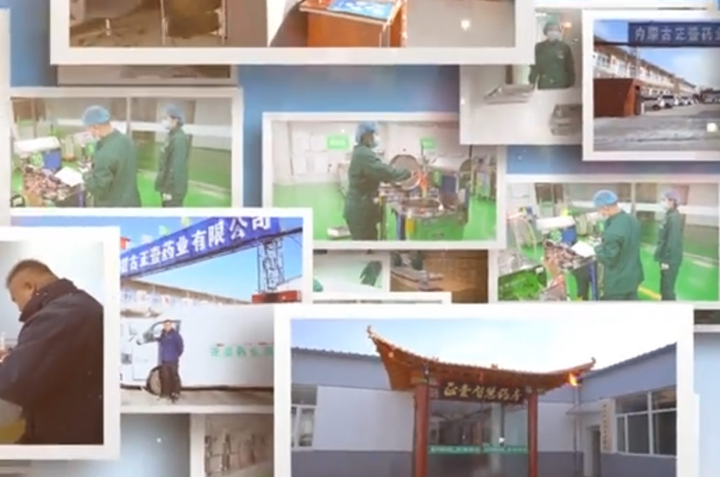 【宣传片】内蒙古正壹药业