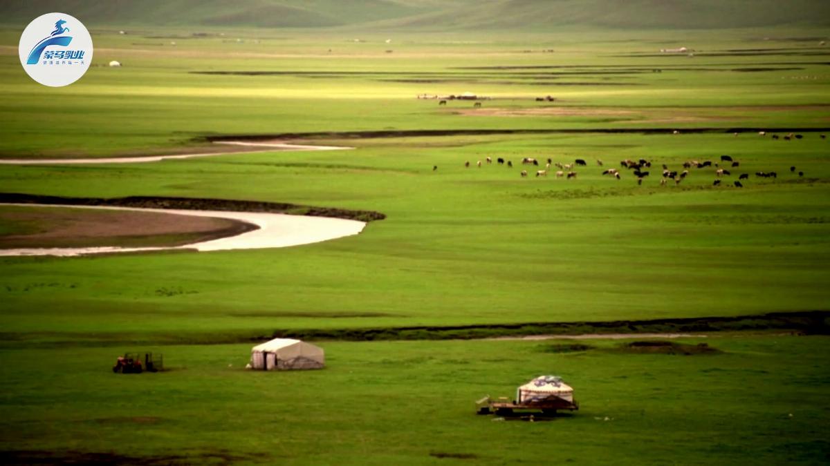 20241125蒙马乳业宣传视频（片头有logo）